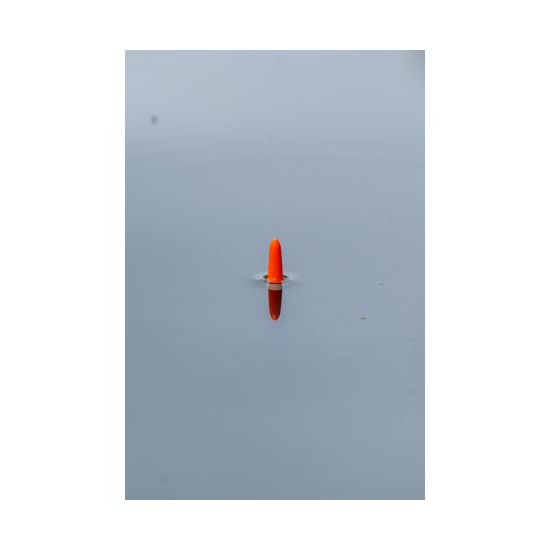 Pluta Korum - Plute Classic Pro Quill 2gr Pluta Korum - Plute Classic Pro Quill 2gr